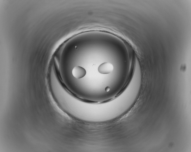 X0000094181518200710261120