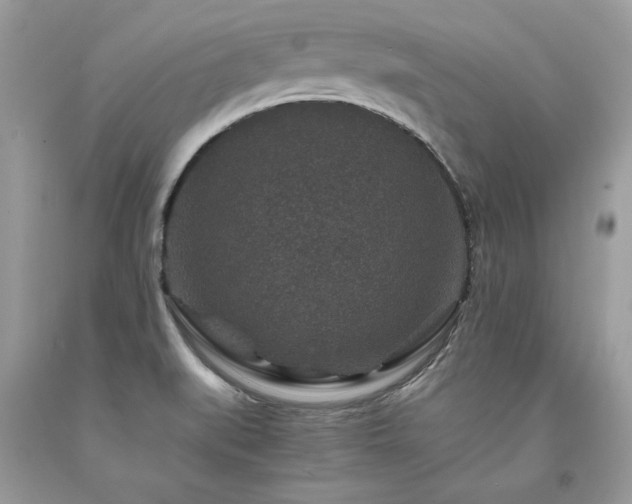 X0000094181519200710261120