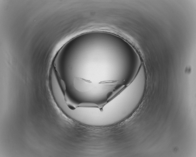 X0000094181520200710261120