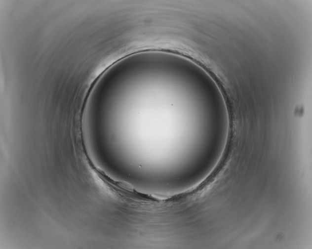 X0000094181521200710261120