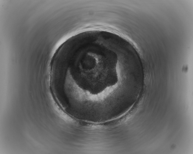 X0000094181522200710261120