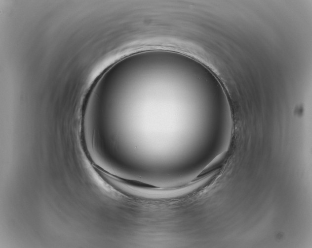 X0000094181523200710261120