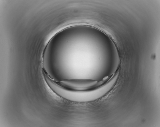 X0000094181524200710261120