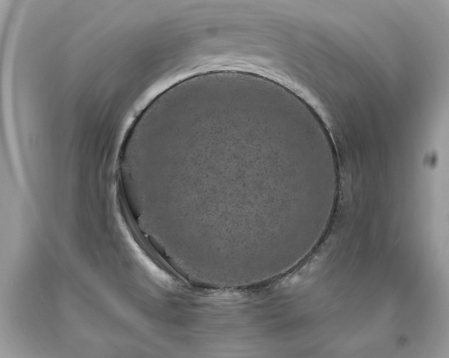 X0000094181525200710261120