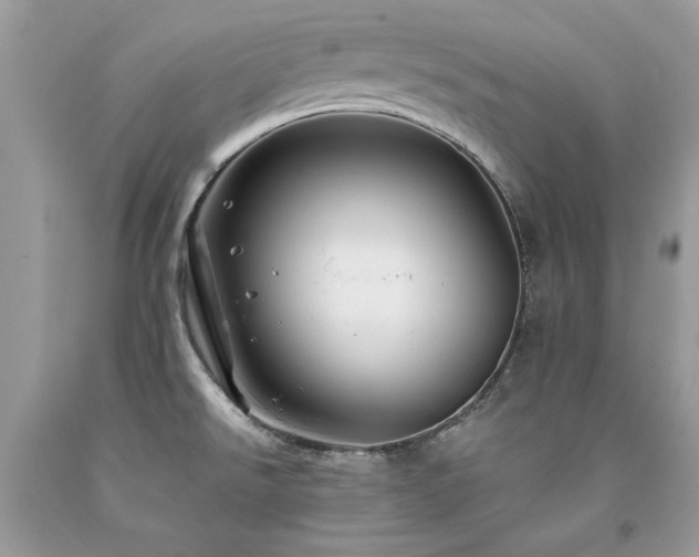 X0000094181526200710261120