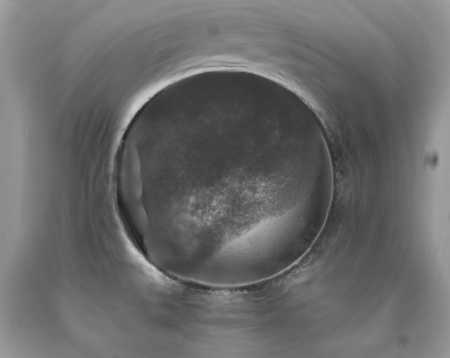 X0000094181527200710261120