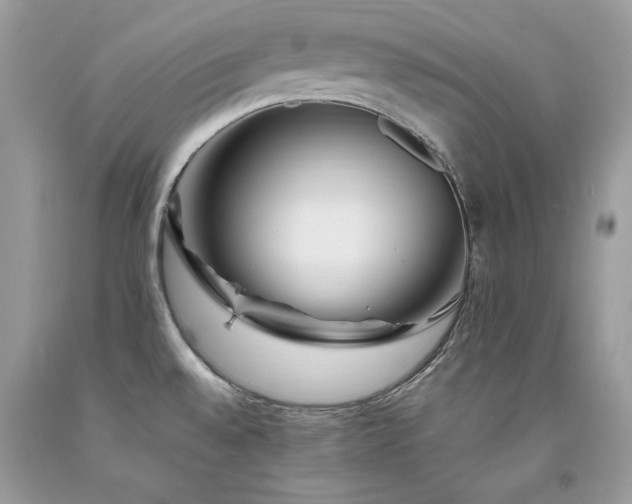 X0000094181528200710261120