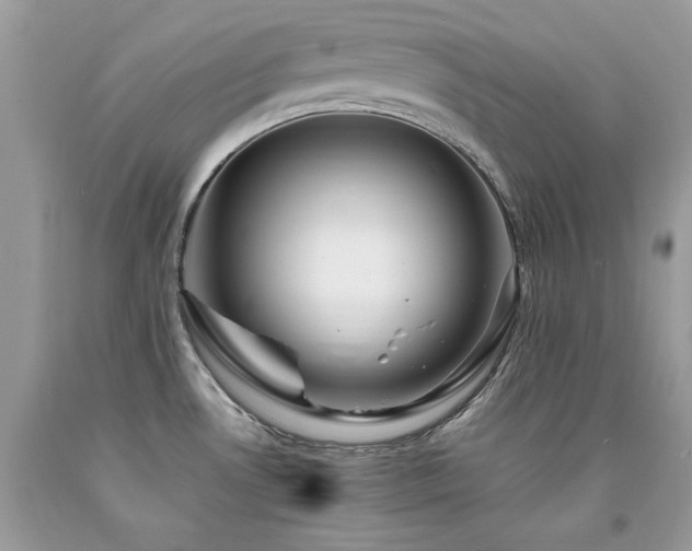 X0000094181530200710261120