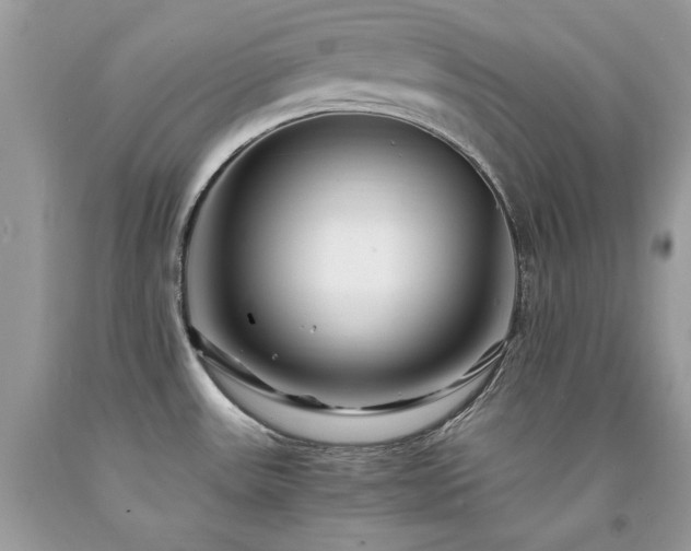 X0000094181531200710261120