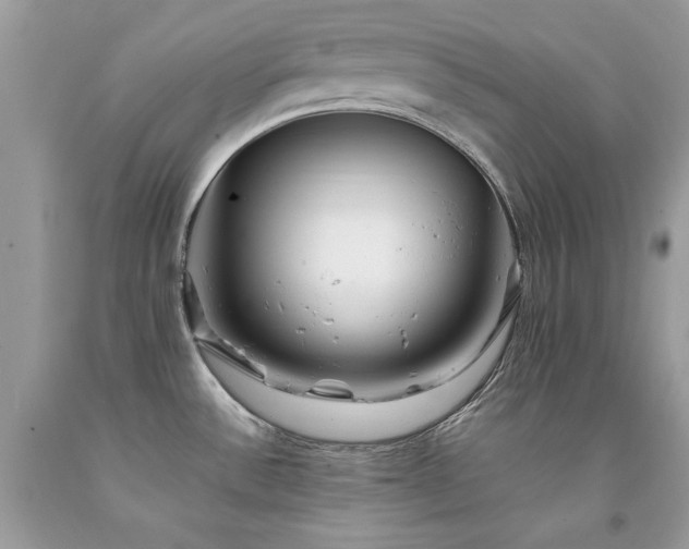 X0000094181532200710261120