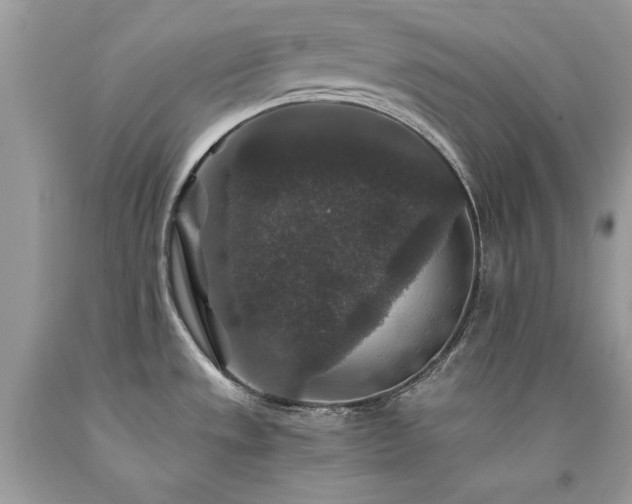X0000094181533200710261120