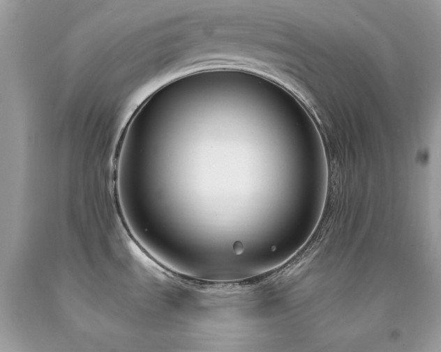 X0000094181535200710261120