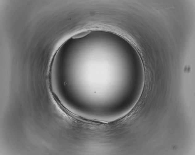 X0000094181536200710261120