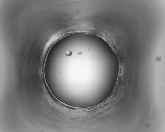 X0000094180004200711021016