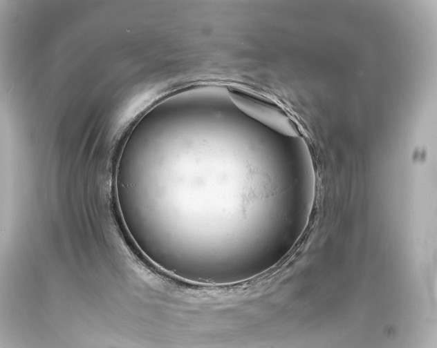 X0000094180005200711021016