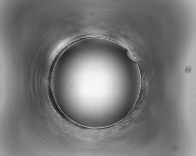 X0000094180007200711021016