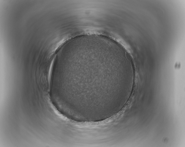 X0000094180009200711021016