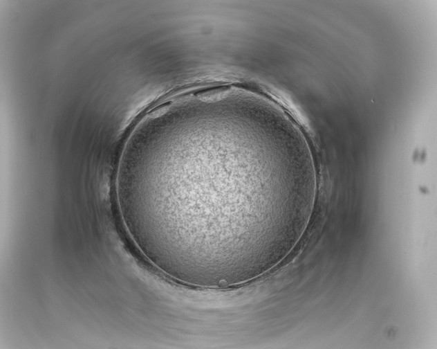 X0000094180010200711021016