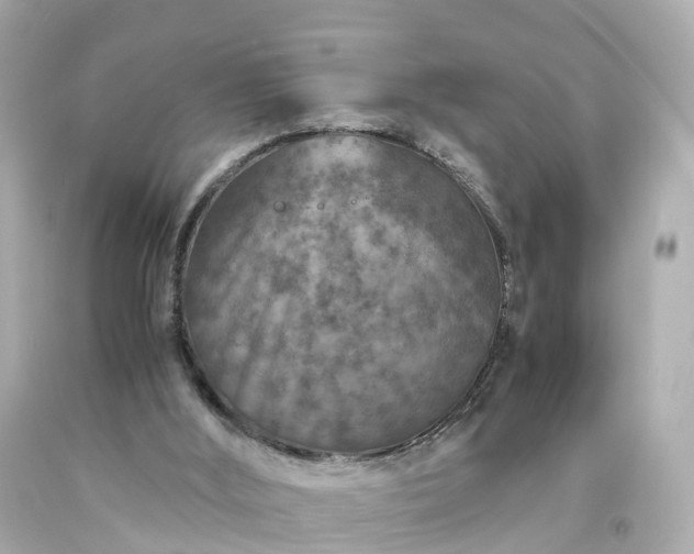 X0000094180012200711021015