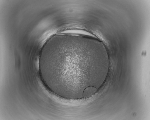 X0000094180014200711021015