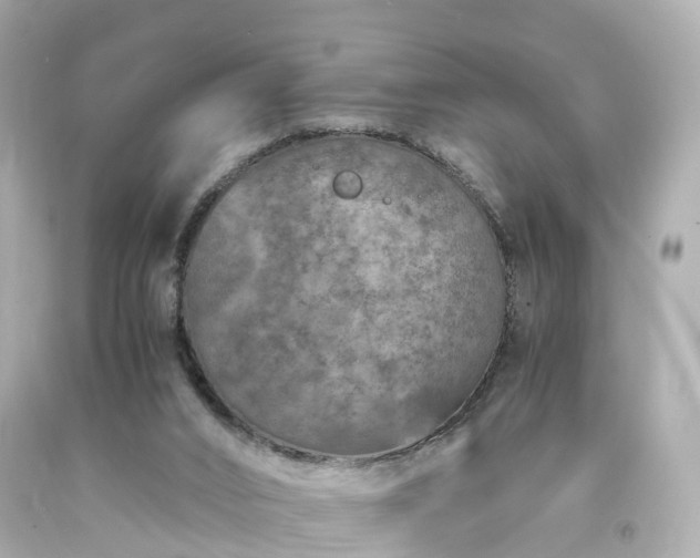 X0000094180016200711021015