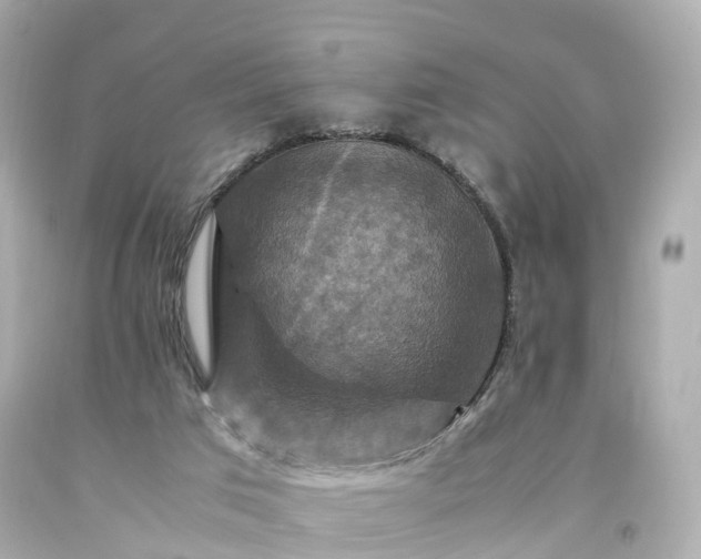 X0000094180017200711021015