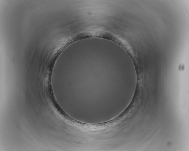 X0000094180018200711021015