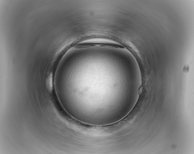 X0000094180020200711021015