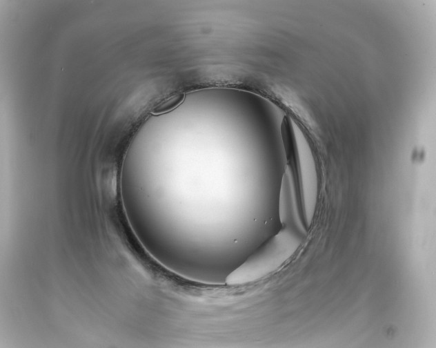 X0000094180021200711021015