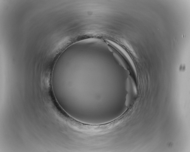 X0000094180023200711021015
