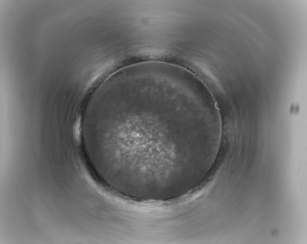 X0000094180024200711021015