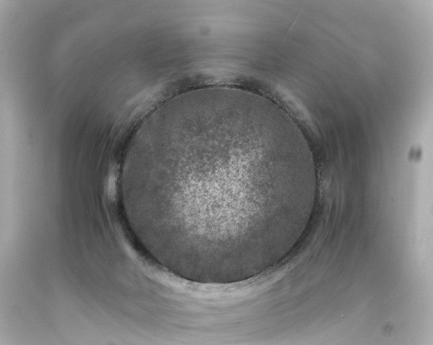 X0000094180026200711021015