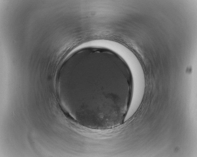 X0000094180027200711021015