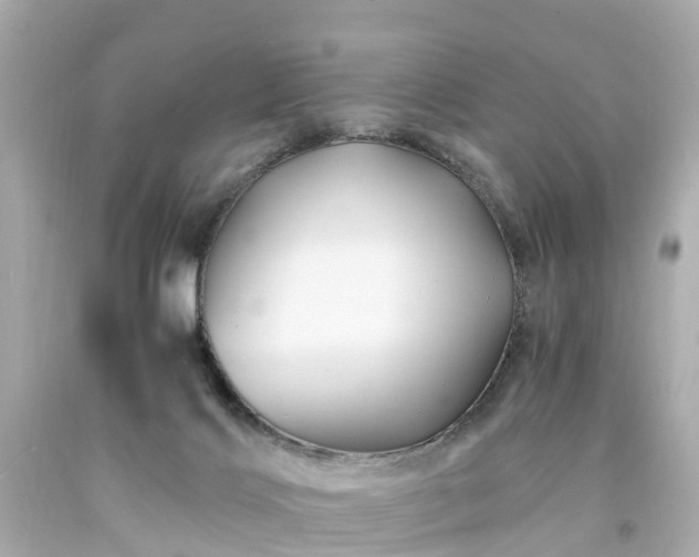 X0000094180028200711021015