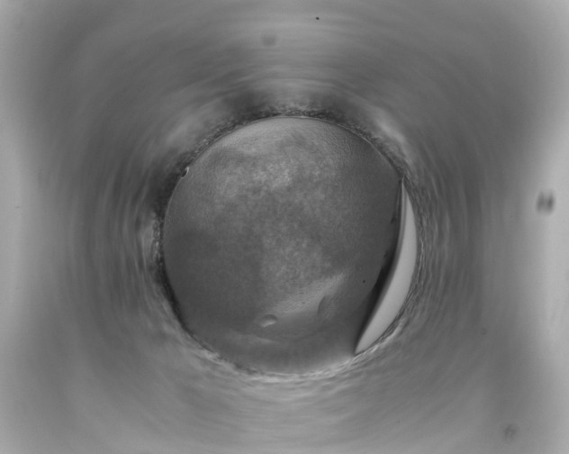 X0000094180029200711021015