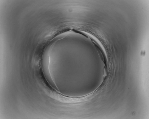 X0000094180031200711021015