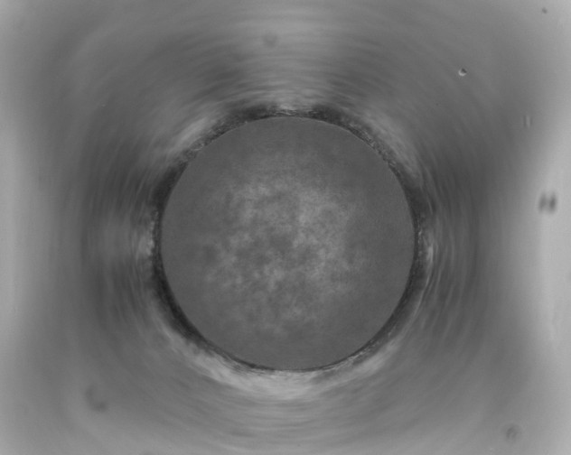X0000094180032200711021015
