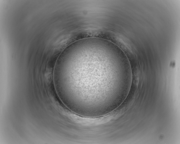 X0000094180034200711021015