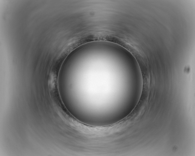 X0000094180038200711021015