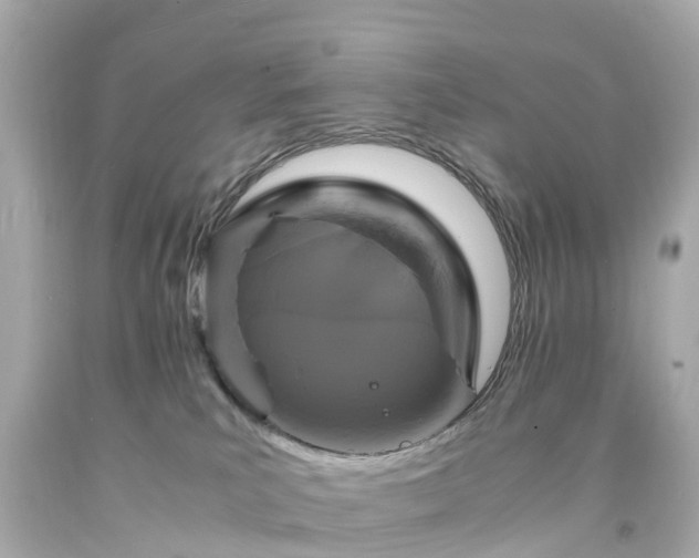 X0000094180039200711021015