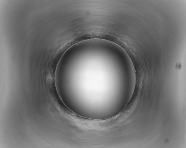 X0000094180040200711021015