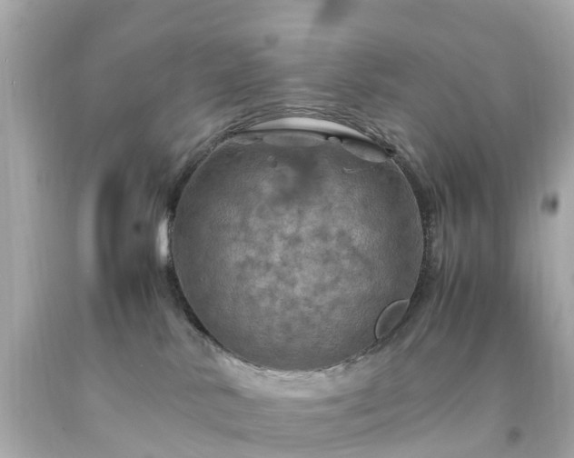 X0000094180042200711021015