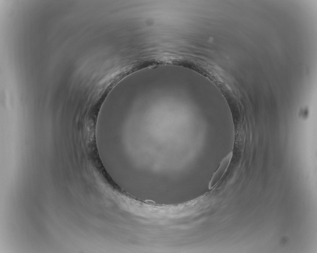 X0000094180043200711021015