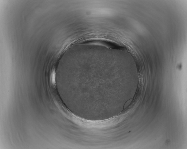 X0000094180046200711021015