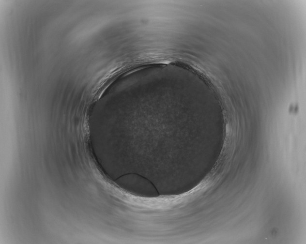 X0000094180048200711021015