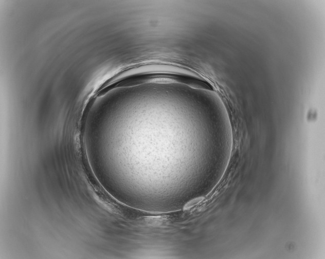 X0000094180050200711021014