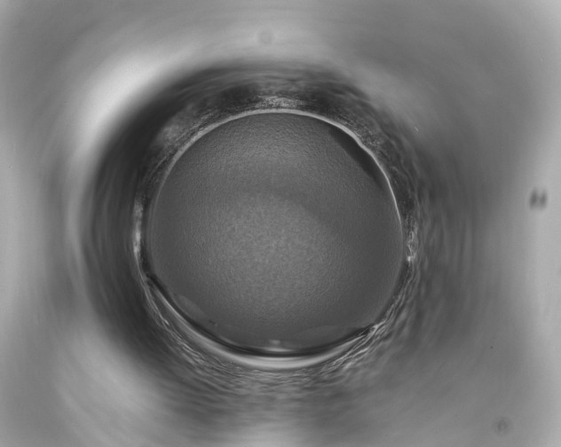 X0000094180052200711021014