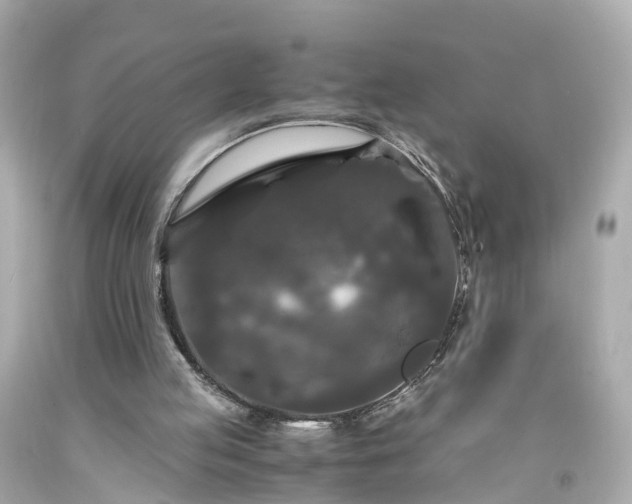 X0000094180053200711021014