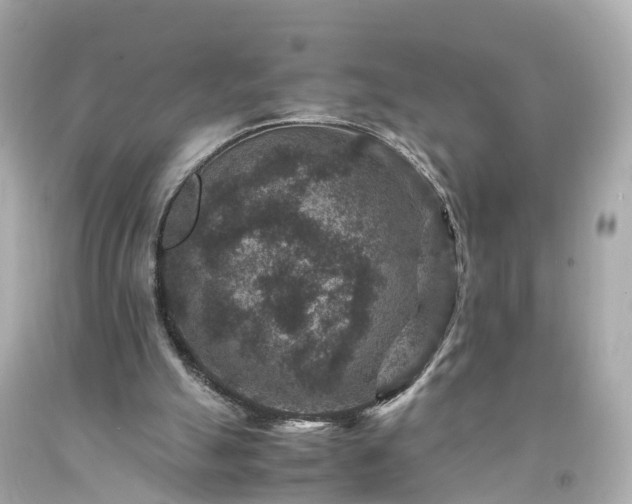 X0000094180055200711021014