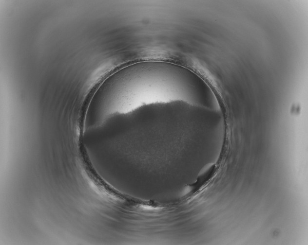 X0000094180059200711021014